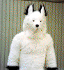 Fursuit